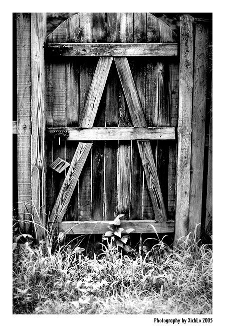 backdoor_2060.jpg