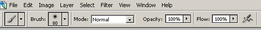 brush_7514.jpg