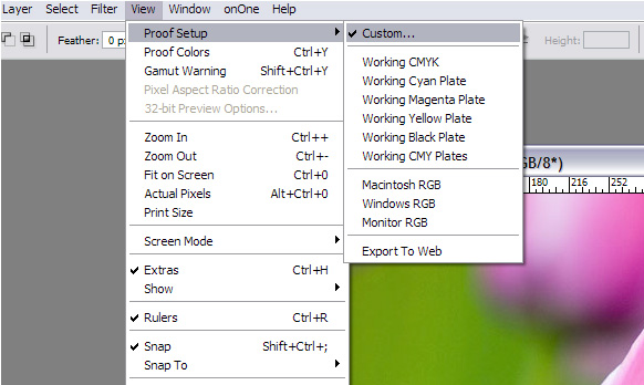 spsetupmenu_1565.jpg