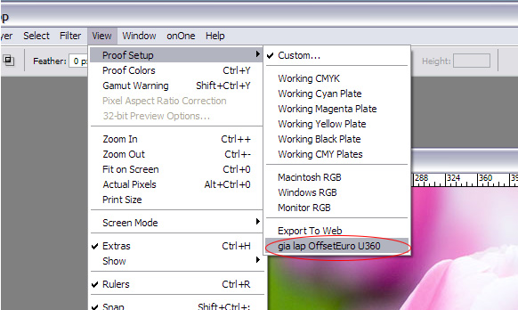 spsetupchoose_2544.jpg