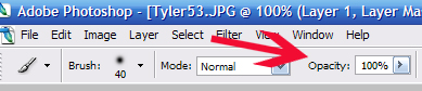 step8_9638.jpg