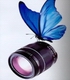 zipzip's Avatar