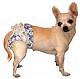 small_dog's Avatar