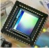 Sensor's Avatar