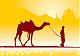 camelS's Avatar