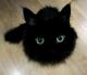 ncuong866's Avatar
