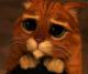 Loicuagio's Avatar