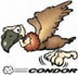 Condor's Avatar