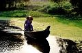 phong canh
